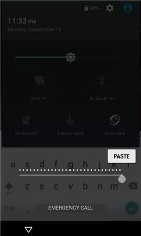 لصق النص عدة مرات