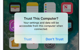 Toque em “Confiar” no seu iPad