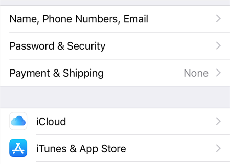 Acesse a seção Senha do iCloud no iPhone