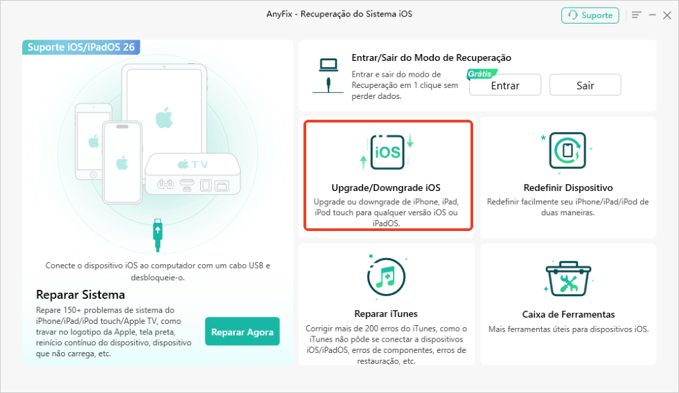 Página Inicial do AnyFix