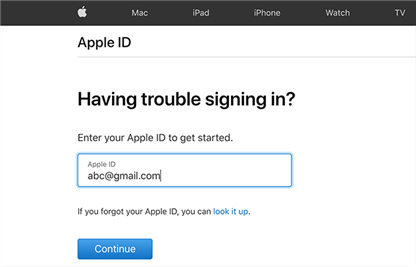 Digite o e-mail do seu ID Apple