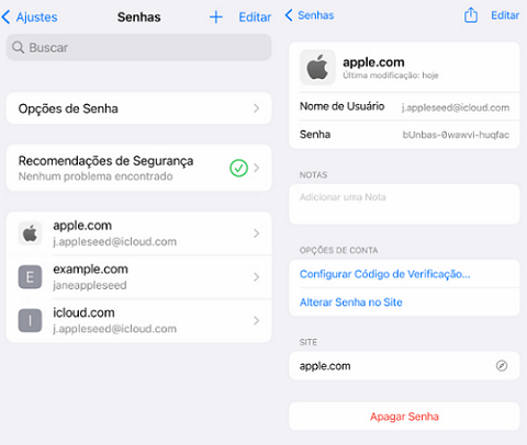 Abrir Senhas em Ajustes do seu iPhone e ver as contas