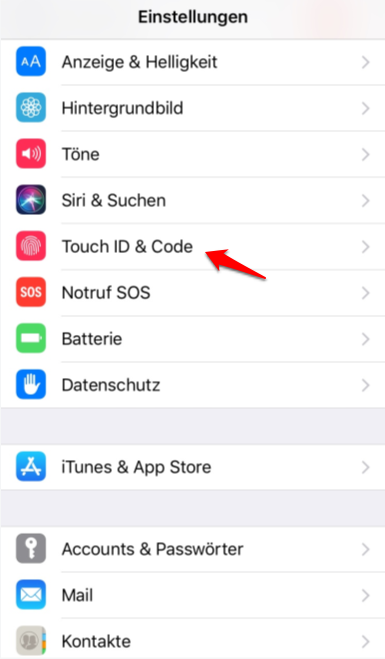 Touch ID fehlergeschlagen iPhone 11 und was tun – Schritt 1