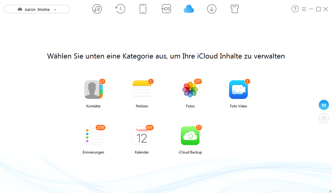 iCloud Backup kann nicht abgeschlossen werden – iCloud Inhalte zugreifen