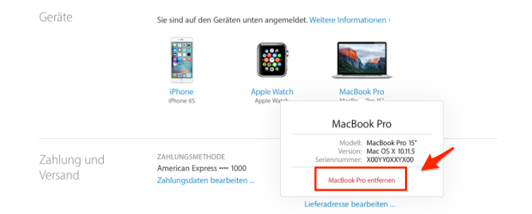 Geräte am Computer unter Apple-ID löschen