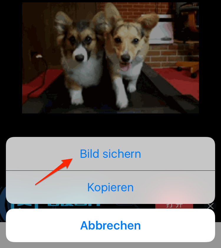 GIFs im iPhone speichern