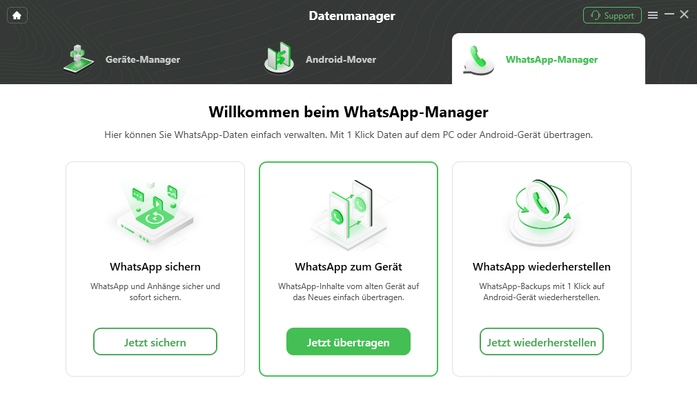 Click WhatsApp to Device Mode