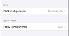 Den DNS für Ihr WiFi-Netzwerk ändern