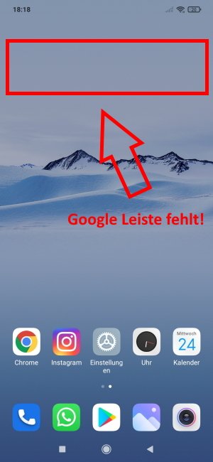 Google Leiste funktioniert nicht