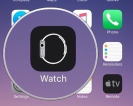 Apple Watch-App öffnen – Schritt 1