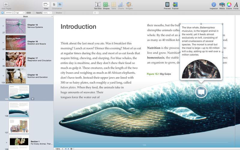 Top App für Mac: iBooks Author