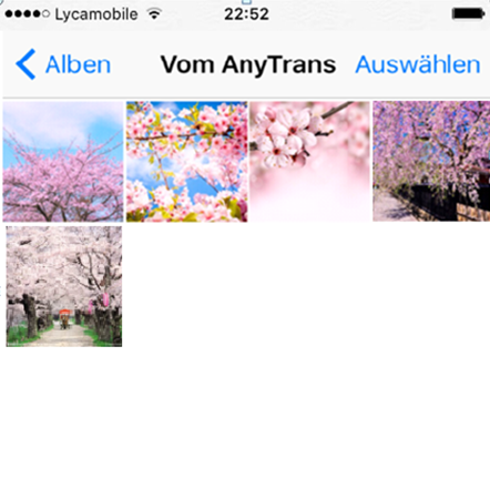 Einfach! Fotos von Mac auf iPhone 6