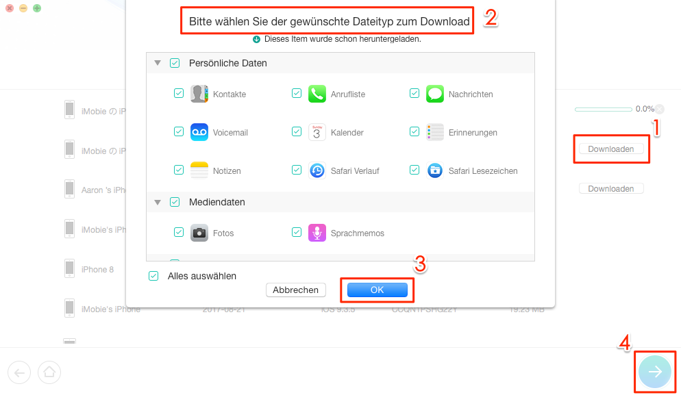 iCloud Backup nach Dateitypen laden – Schritt 3