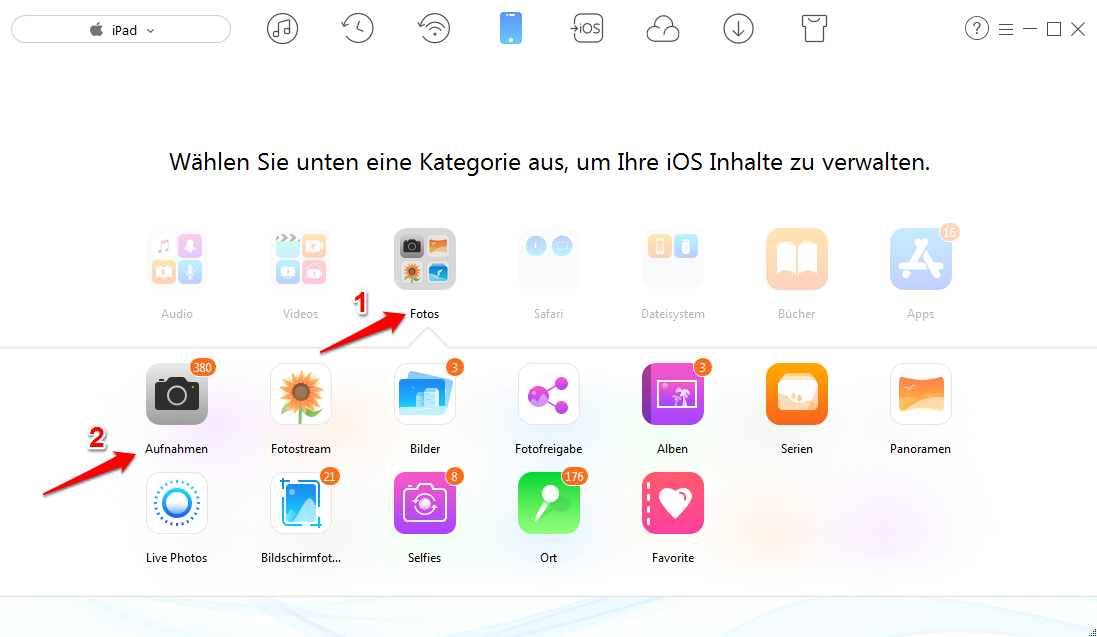 Alle/mehrere Fotos vom iPad auf Computer übertragen – iMobie