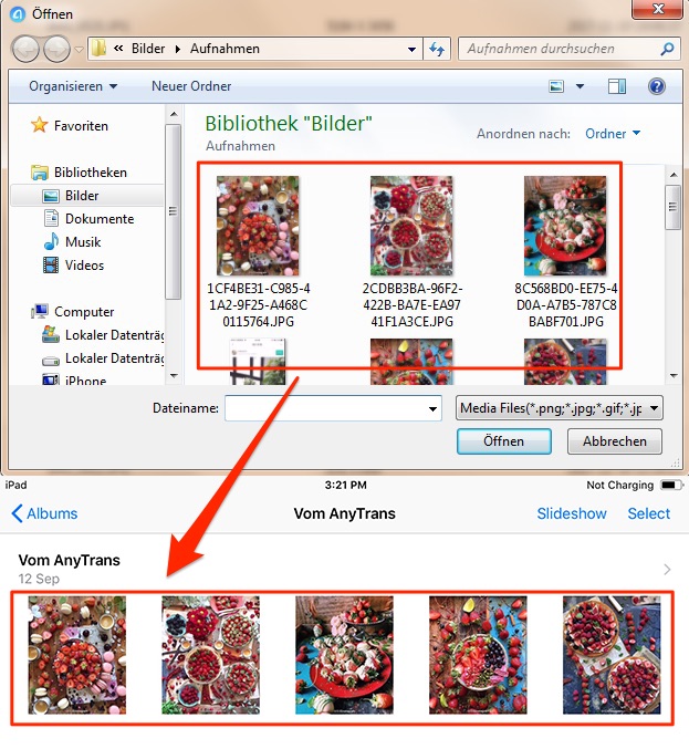 Wie kann man Fotos vom PC auf iPad ohne iTunes übertragen – Schritt 3