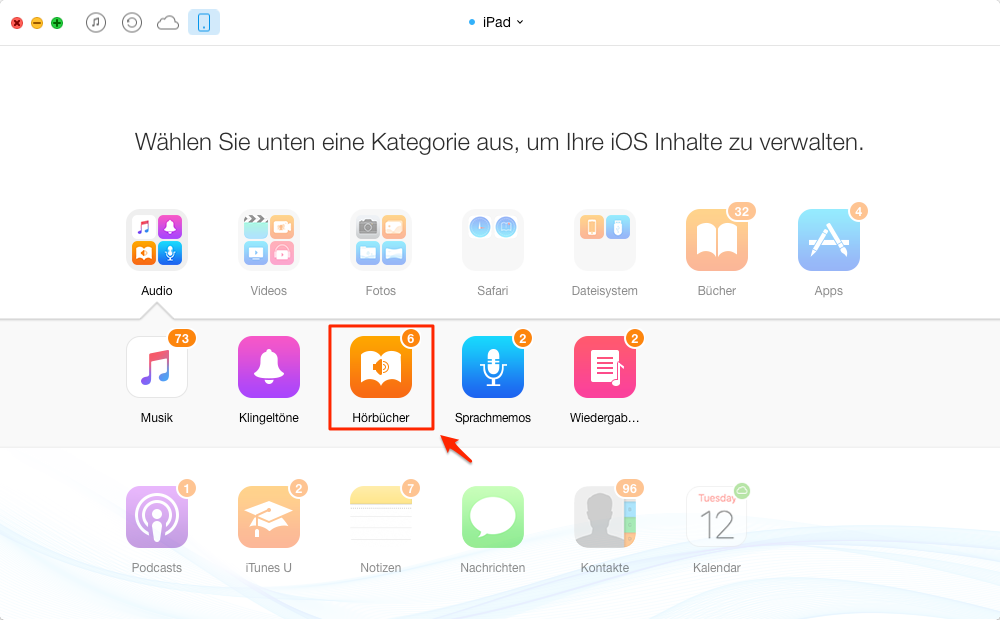 Wählen Sie die Option „Hörbuch“ aus – Schritt 2