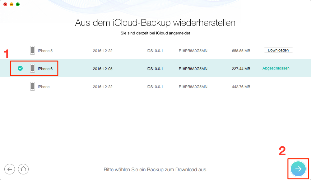 iCloud Backup auswählen und herunterladen - Schritt 3