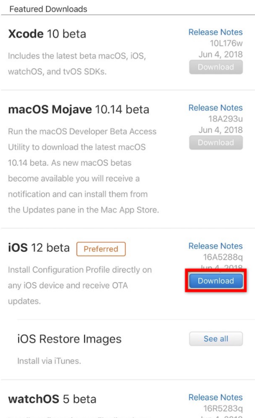 iOS 12.1 Download – Schritt 2