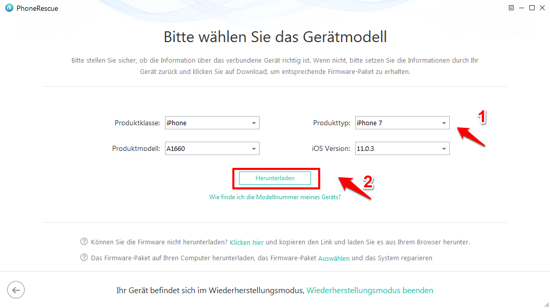 iOS System Recovery – Infos für iOS-Gerät ausfüllen