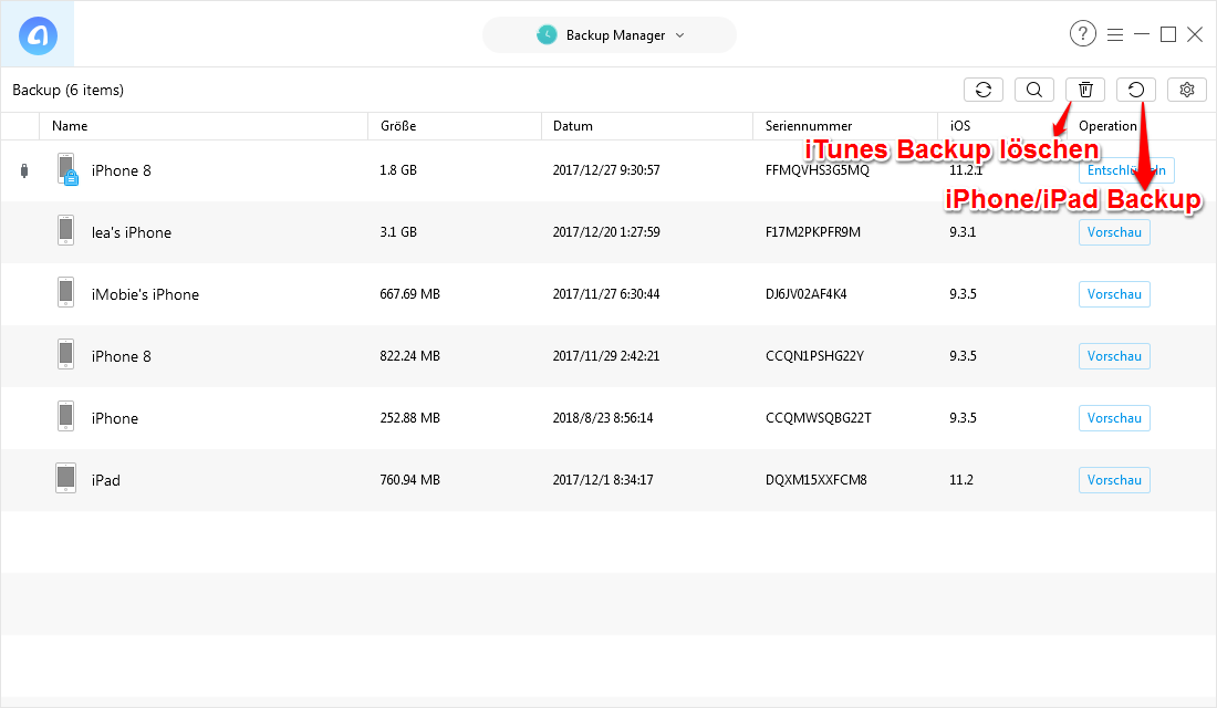 iPad Backup ohne iTunes/iCloud erstellen - Schritt 2