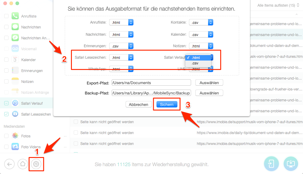Safari Verlauf wiederherstellen: Format auswählen