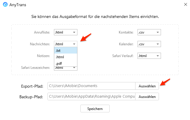 Format einstellen und Export-Pfad auswählen - Schritt 4