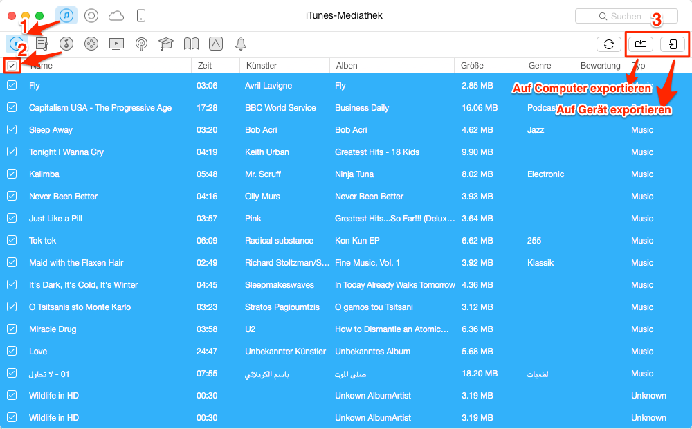 iTunes Mediathek auf Computer/iGerät übertragen – Schritt 2