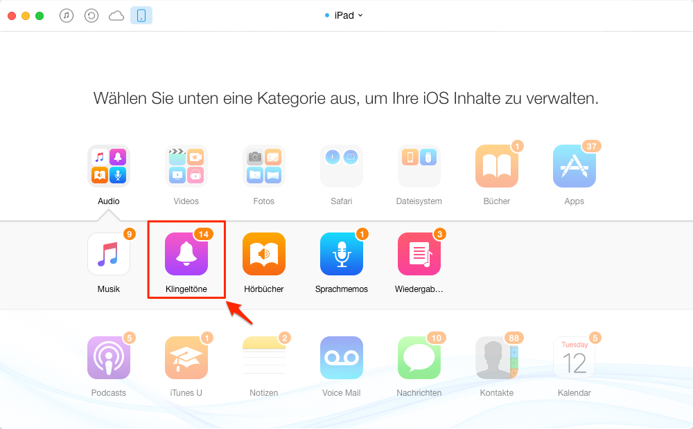 Wählen Sie die Dateitypen „Klingeltöne“ – Schritt 2