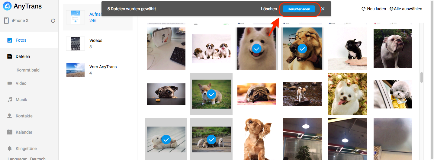 Bilder Vom Iphone Auf Pc Windows