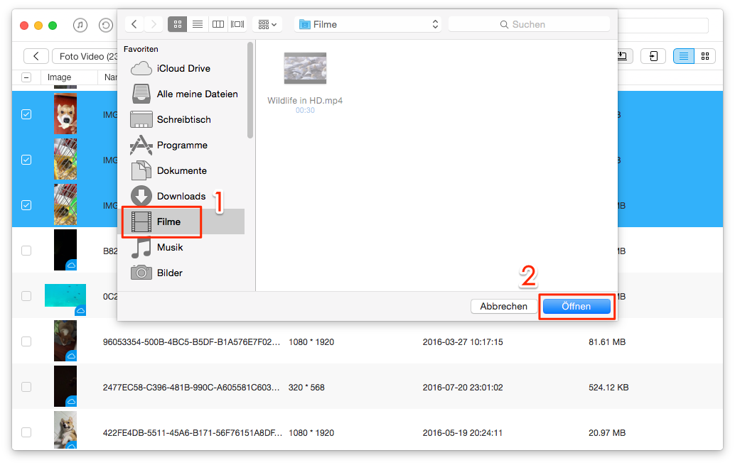 Effizient! Videos vom iPhone auf Mac übertragen – Schritt 3