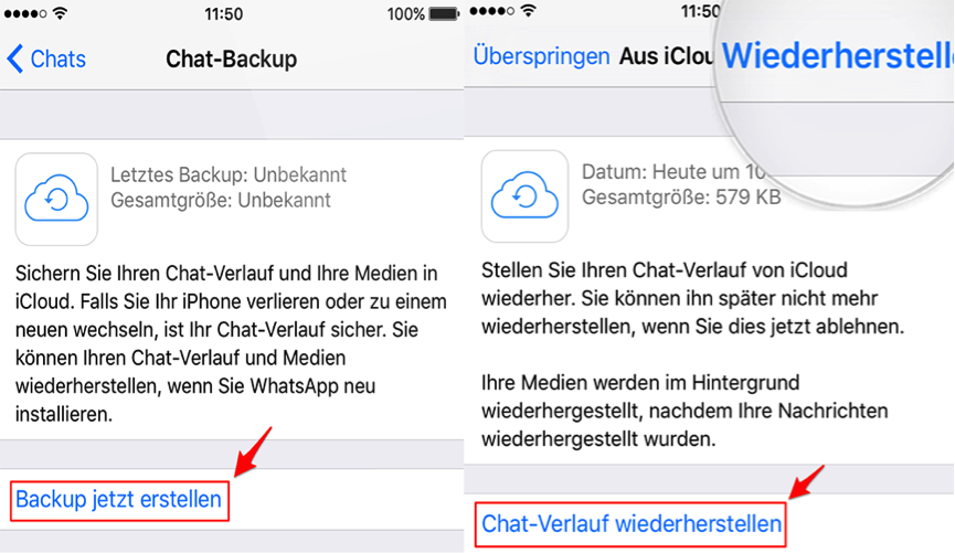 2. Wiederherstellen aller Daten einschließlich WhatsApp von iCloud auf iPhone