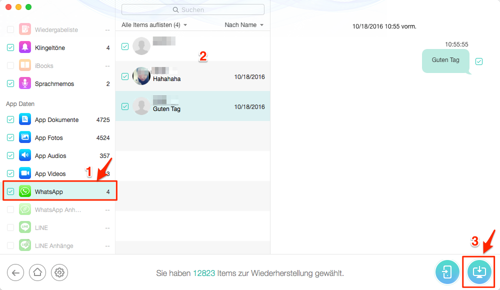 WhatsApp Chatverlauf wiederherstellen - Schritt 2