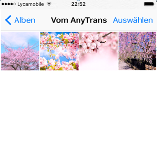Fotos von iPhoto auf iPhone übertragen