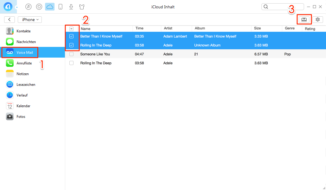 Selektiv: iCloud Voicemail exportieren – Schritt 4