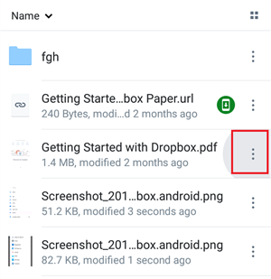 Download Files from Dropbox to iPhone – Step 3