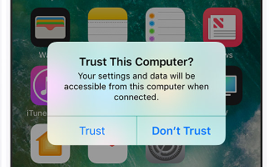 Click Trust This Computer on Device