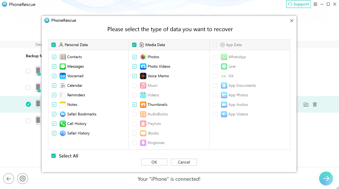 Select the Type of Data to Recover