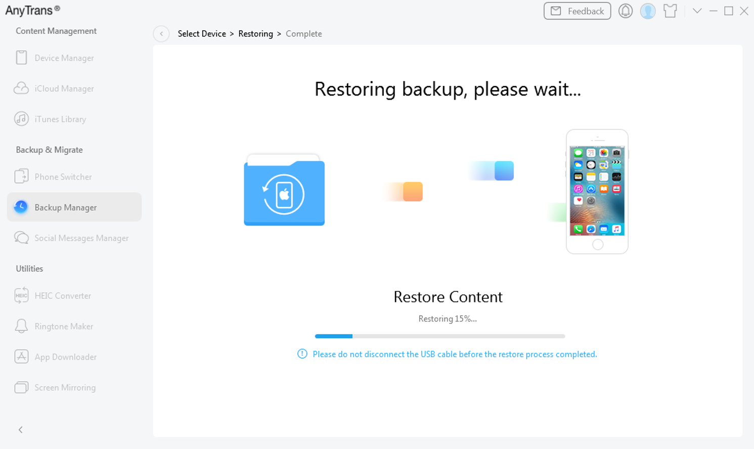 The Process of Restoring Backup