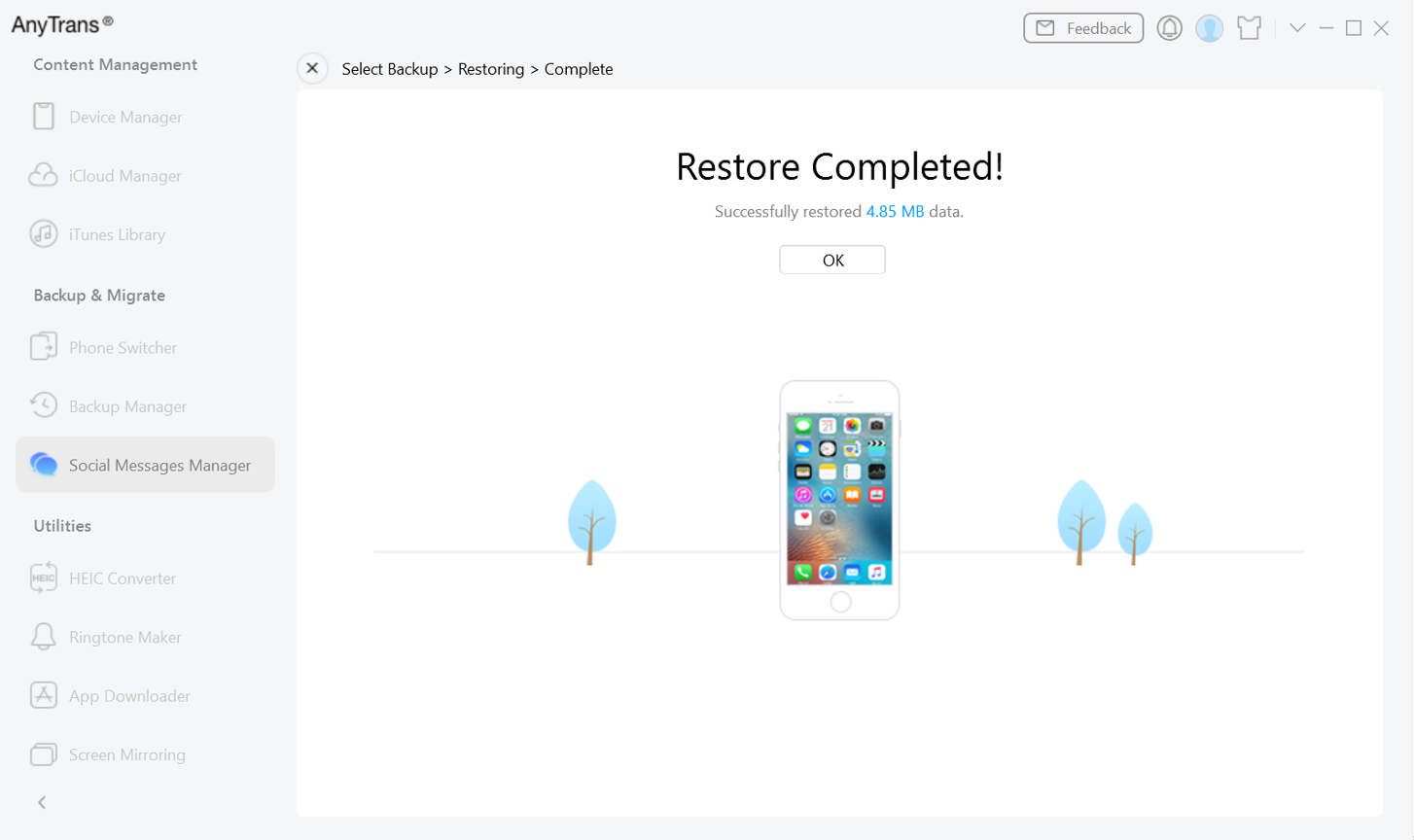 Restore Completed