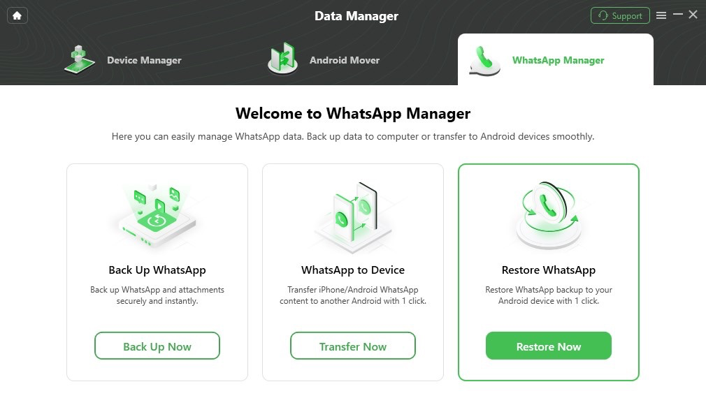 Choose Restore WhatsApp Option