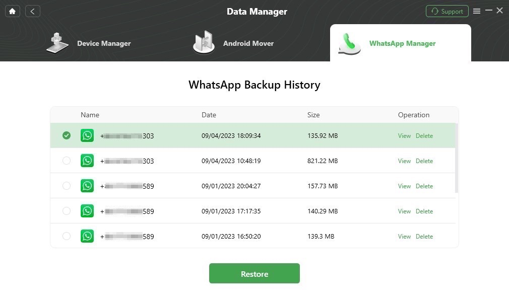 Choose A WhatsApp Backup