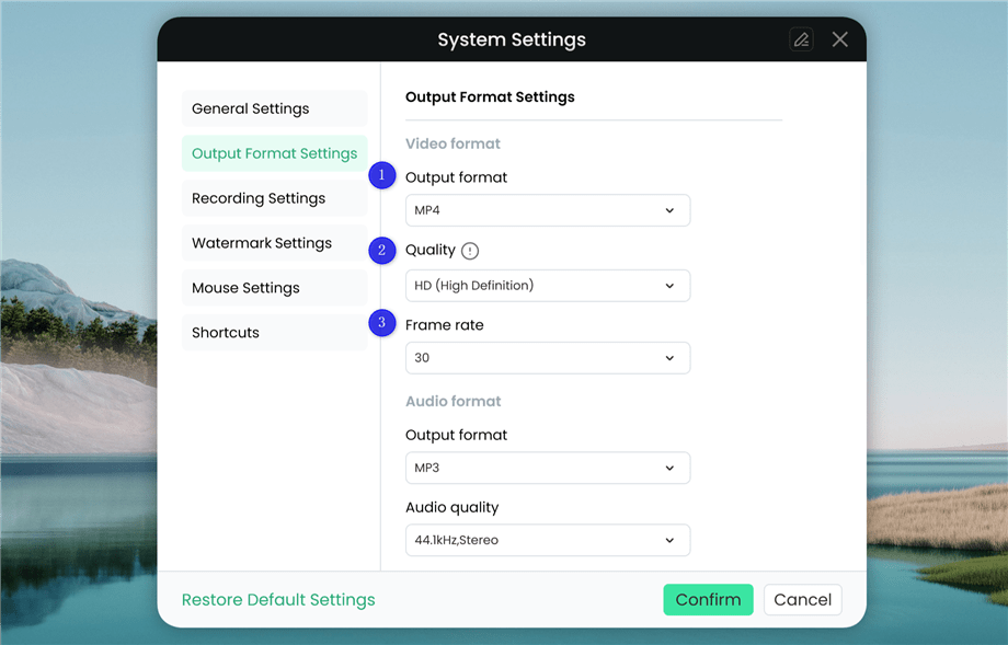 Video Format Settings