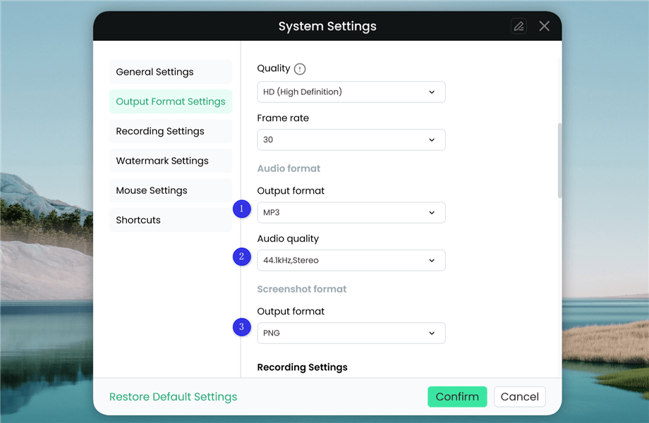 Audio and Screenshot Format Settings