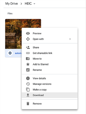 Download HEIC Photos from Google Drive