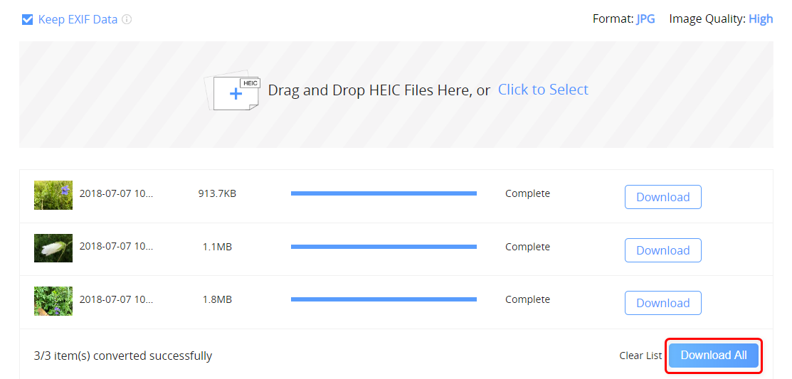 Download the Converted JPG Files