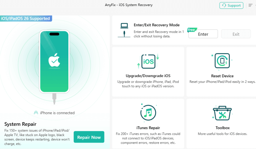 AnyFix System Repair Option