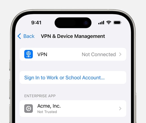 Choose VPN & Device Management