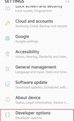 Click Developer Option