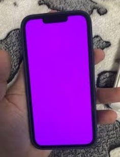 Purple Screen of Death