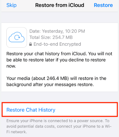 Restore WhatsApp Chat History on iPhone